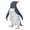 Mabell's Zoo Penguin